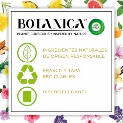 Botanica by Air wick Pack 6  Velas Aromáticas cera natural, aroma Vainilla y Magnolia del Himalaya