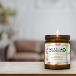 Botanica by Air wick Pack 6  Velas Aromáticas cera natural, aroma Vainilla y Magnolia del Himalaya