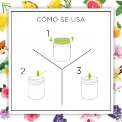 Botanica by Air Wick Vela XL aromática de cera natural, aroma Vainilla y Magnolia del Himalaya - 500g