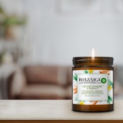 Botanica by Air Wick Vela XL aromática de cera natural, aroma Vetiver Caribeño y Sándalo - 500g