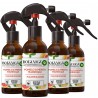 Botanica by Air Wick Pack 4 Sprays aroma Pomelo y Menta