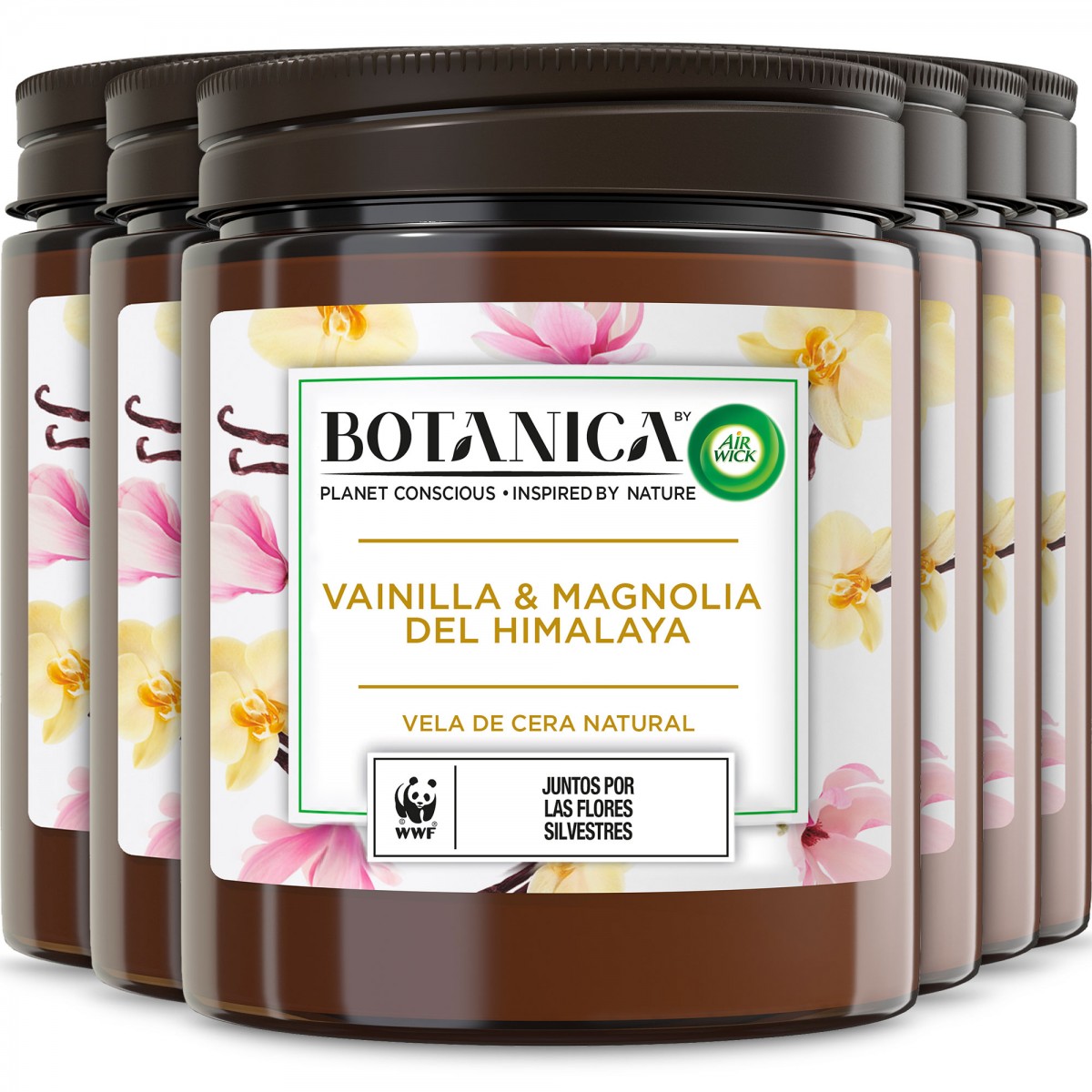 Botanica by Air wick Pack 6  Velas Aromáticas cera natural, aroma Vainilla y Magnolia del Himalaya