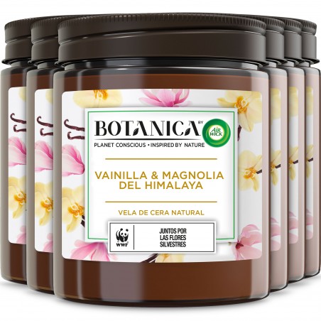 Botanica by Air wick Pack 6  Velas Aromáticas cera natural, aroma Vainilla y Magnolia del Himalaya